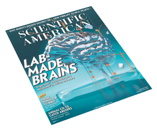 Scientific America Article