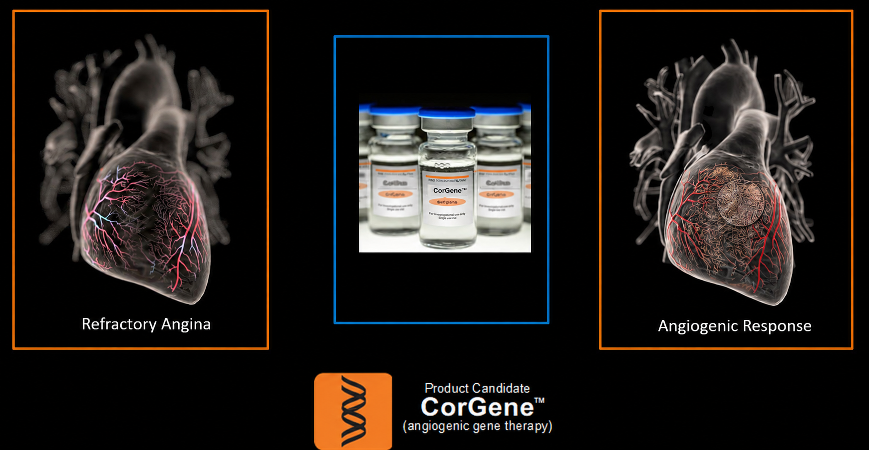 Angiogensis new ways to heal